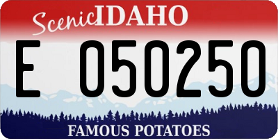 ID license plate E050250
