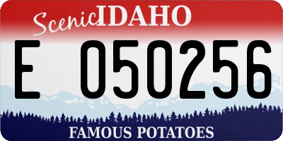 ID license plate E050256