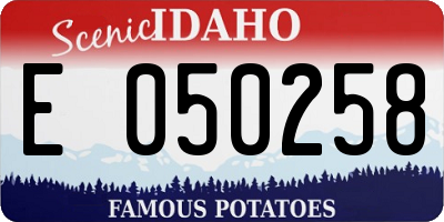 ID license plate E050258
