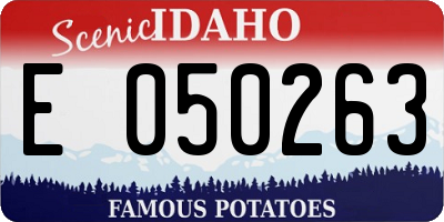 ID license plate E050263
