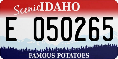 ID license plate E050265