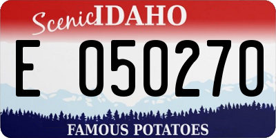 ID license plate E050270