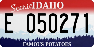 ID license plate E050271