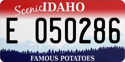 ID license plate E050286