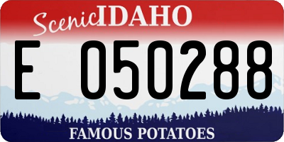 ID license plate E050288