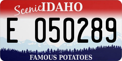 ID license plate E050289