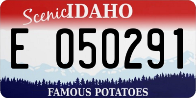 ID license plate E050291