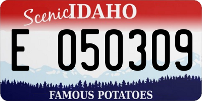 ID license plate E050309