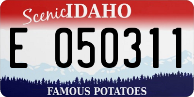 ID license plate E050311