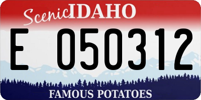 ID license plate E050312