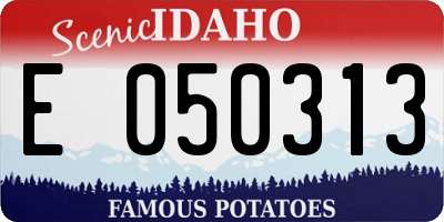 ID license plate E050313