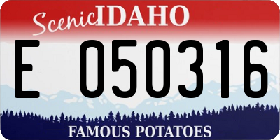 ID license plate E050316