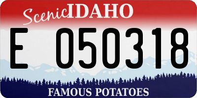 ID license plate E050318