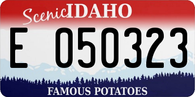 ID license plate E050323