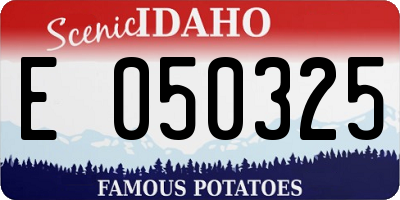 ID license plate E050325