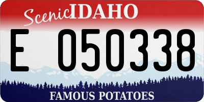 ID license plate E050338