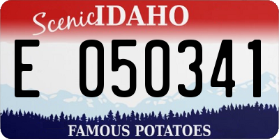 ID license plate E050341