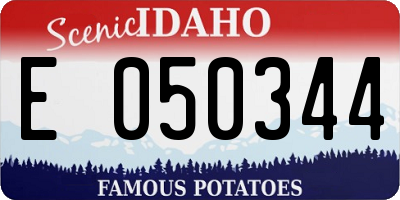 ID license plate E050344