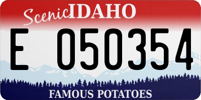 ID license plate E050354