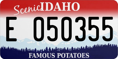 ID license plate E050355
