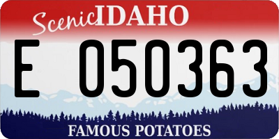 ID license plate E050363