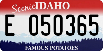 ID license plate E050365