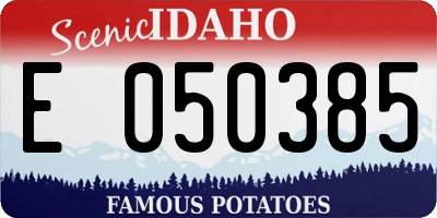 ID license plate E050385