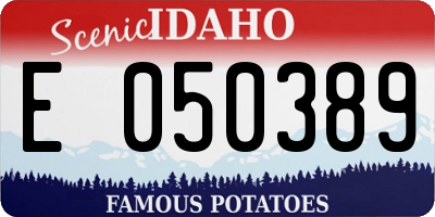 ID license plate E050389