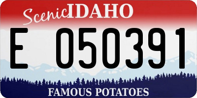 ID license plate E050391