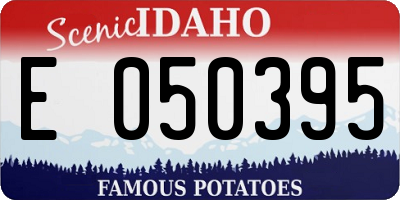 ID license plate E050395