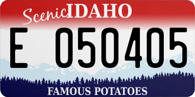 ID license plate E050405