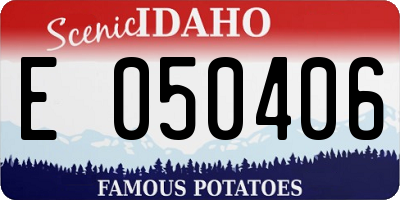 ID license plate E050406