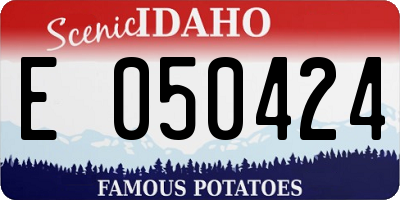 ID license plate E050424