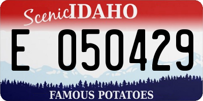 ID license plate E050429