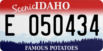 ID license plate E050434