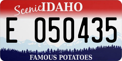 ID license plate E050435