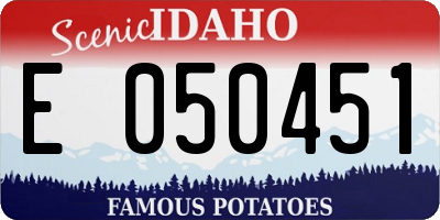 ID license plate E050451
