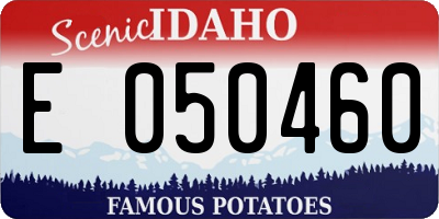 ID license plate E050460