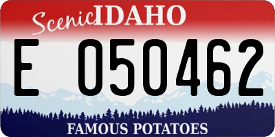 ID license plate E050462
