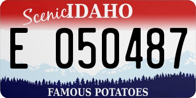 ID license plate E050487