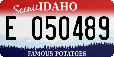 ID license plate E050489