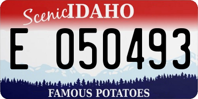 ID license plate E050493