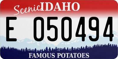 ID license plate E050494