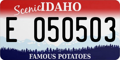 ID license plate E050503