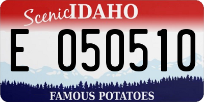 ID license plate E050510