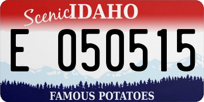 ID license plate E050515