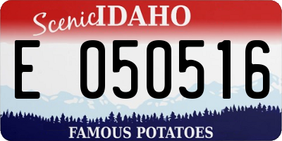 ID license plate E050516