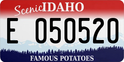 ID license plate E050520