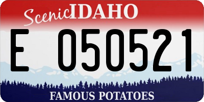 ID license plate E050521