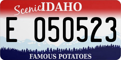 ID license plate E050523